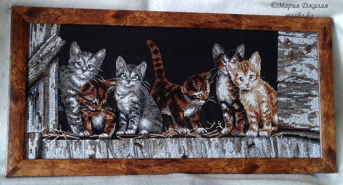 Вышивка Barnyard Kitties